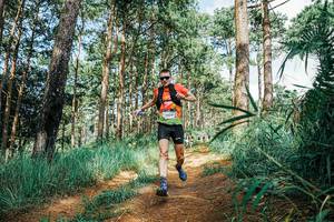 BIB: 
                            <button type="button" onclick="openModal(25755302)" class="btn btn-primary btn-sm float-right btn-popup" data-toggle="modal" data-target=".modal-high-quality">
                        <i class="fas fa-shopping-cart"></i> Add to Cart
                    </button>
                                            <button type="button" onclick="isThisMe(25755302, true)" class="btn btn-success btn-sm float-right btn-popup btn-isme hidden" data-toggle="tooltip" data-placement="bottom" title="นี่คือรูปของคุณใช่ไหม คลิกที่นี่เพื่อเอาเข้าอัลบั้ม">
                        <i class="fas fa-plus"></i> Add to album
                    </button>
                    <button type="button" onclick="isThisMe(25755302, false)" class="btn btn-warning btn-sm float-right btn-popup btn-isnotme hidden">
                        <i class="fas fa-ban"></i> Remove from album
                    </button>